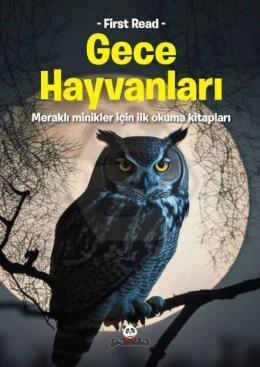 Gece Hayvanları