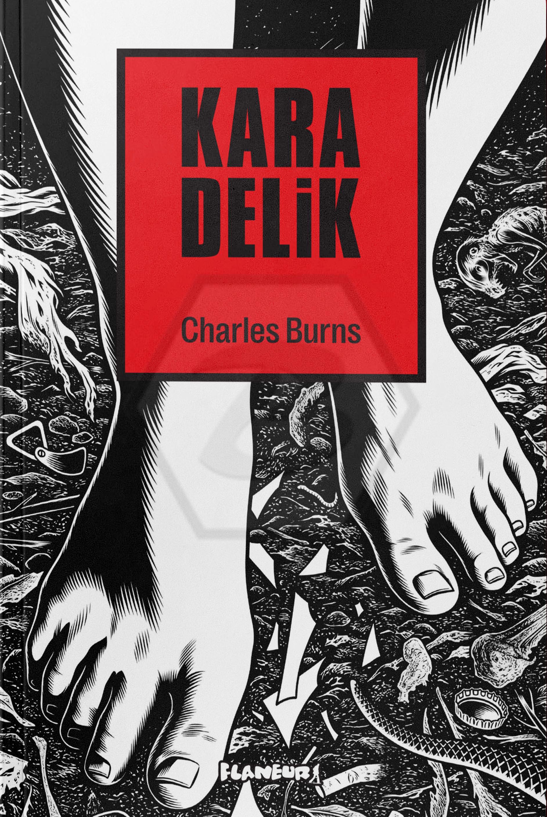 Kara Delik