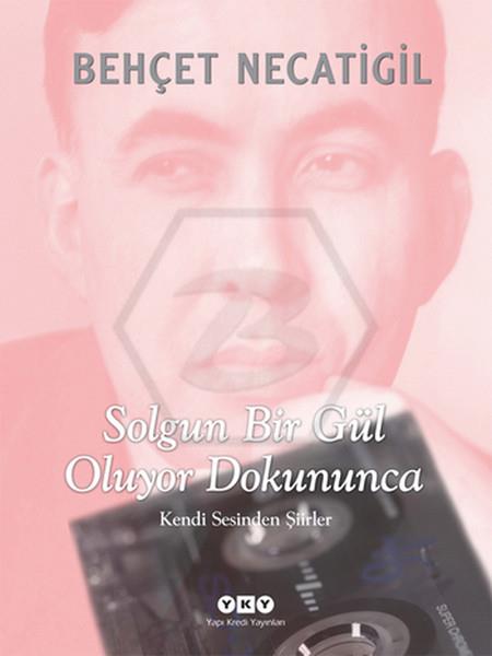 Solgun Bir Gül Oluyor Dokununca 