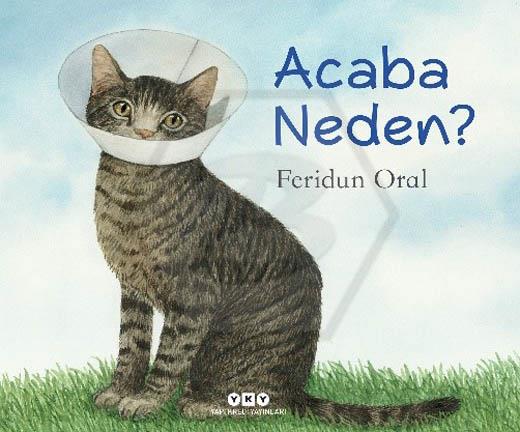 Acaba Neden?