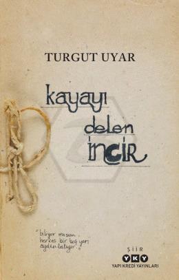 Kayayı Delen İncir;"Biliyormusun Herkes bir Boş Yeri Aydınlatıyor."