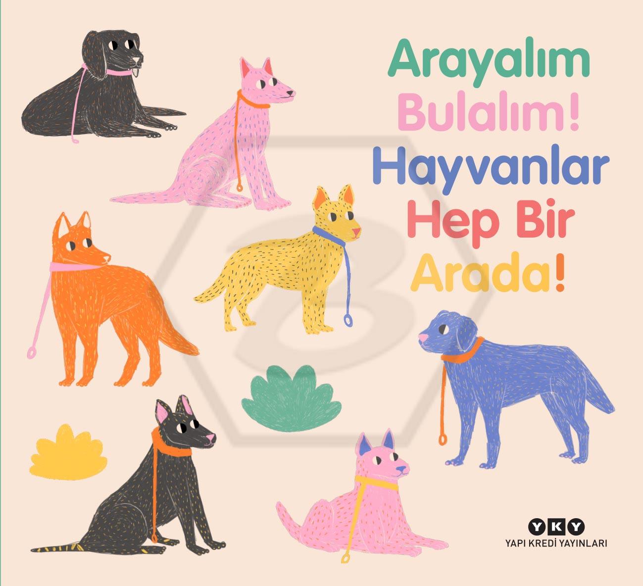 Arayalım Bulalım! Hayvanlar Hep Bir Arada!