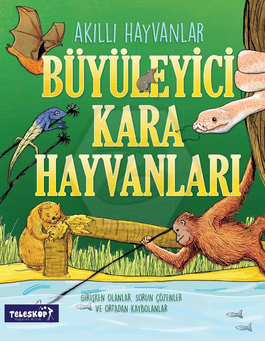 Büyüleyici Kara Hayvanları - Akıllı Hayvanlar