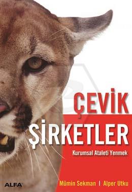 Çevik Şirketler