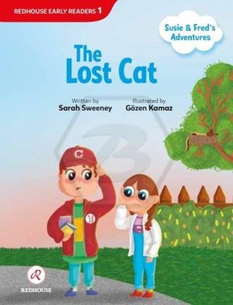 The Lost Cat