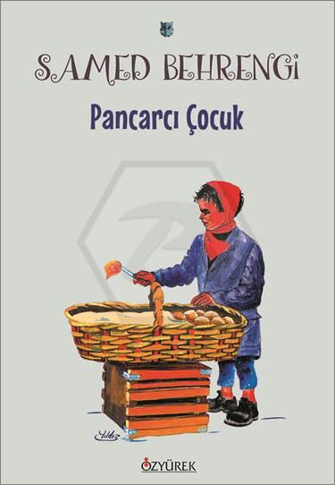 Pancarcı Çocuk