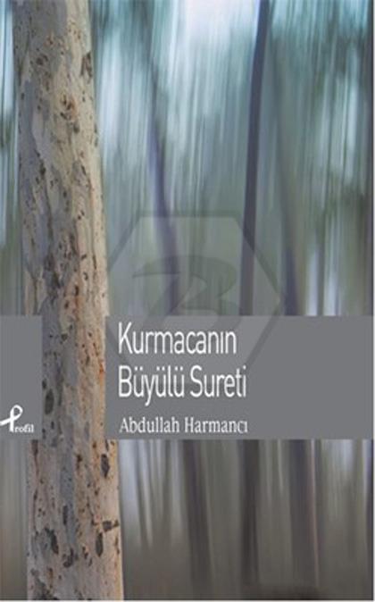 Kurmacanın Büyülü Sureti