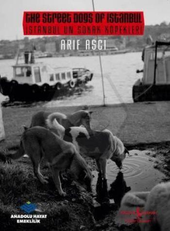 İstanbul Un Sokak Köpekleri